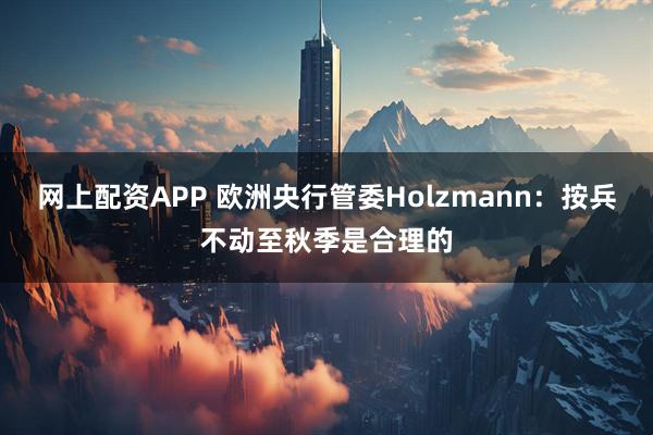 网上配资APP 欧洲央行管委Holzmann：按兵不动至秋季是合理的