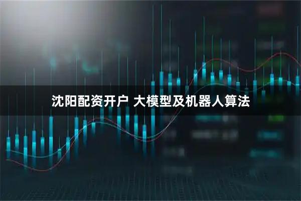 沈阳配资开户 大模型及机器人算法